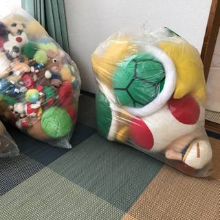 マリオ　アフロ犬　ぬいぐるみいっぱい