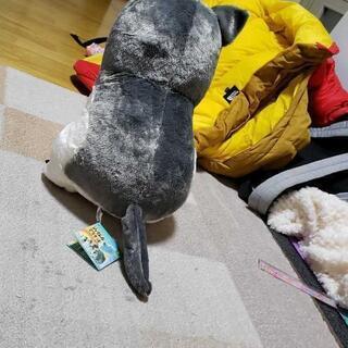 ぬいぐるみシャクレルプラネットの画像