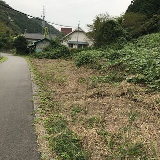 キャンプ場　一緒に開拓しませんか？