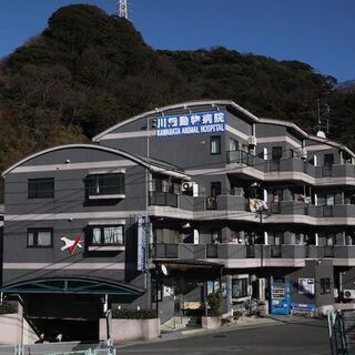 一般事務の募集しています