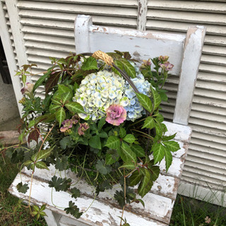 寄せ植えレッスンの画像