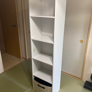 ロング丈　カラーボックス