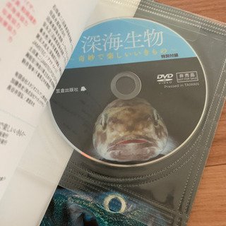 深海生物　dvd付き単行本の画像