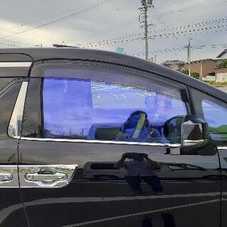 どこかシャインゴースト
