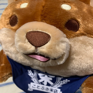 忠犬もちしば 大きなゴロゴロぬいぐるみ