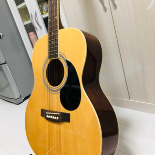 アコースティックギター の画像