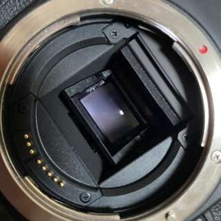 Canon EOS80D レンズ4本セットの画像