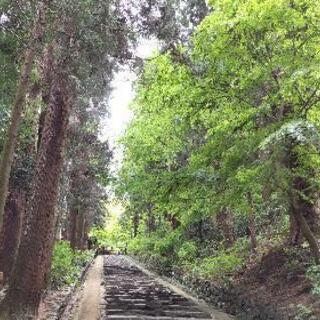Twitter友達募集 - メンバー募集