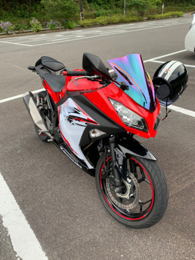 ニンジャ250 スペシャルエディション