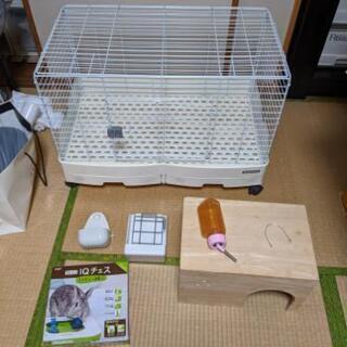 うさぎ　飼育　ウサギ　ケージ