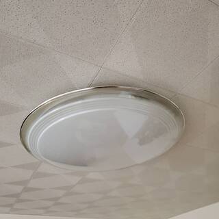 シーリング電気の画像