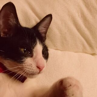 白黒の男の子ウミ君！