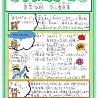 農業体験(障がい者含むすべての人)