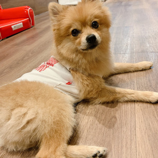 犬友達募集中♡