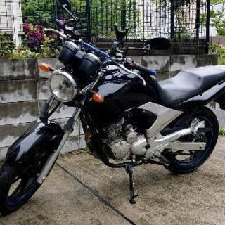 YAMAHA YBR250  リターンライダー/免許取立ての方の...