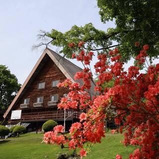 季節アルバイト（〜10月中旬頃まで）募集！トマト加工や宿泊や飲食...
