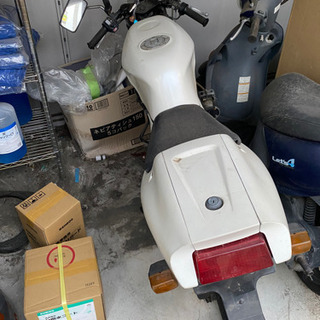 YAMAHA TZR50R の画像