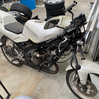 YAMAHA TZR50R の画像
