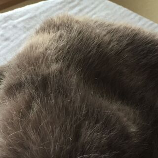 レディースマフラーの画像