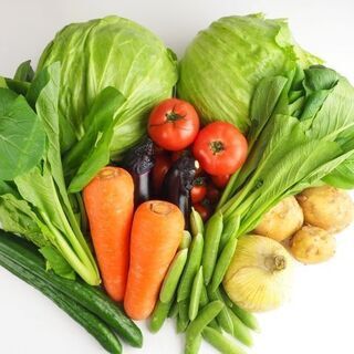 野菜の規格分け作業　1085円　（北見市）