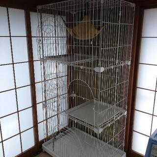 猫ゲージ