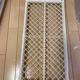 お譲り先決まりましたの画像