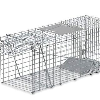 おかげ様で一時中止＾＾🎶★★★猫捕獲機★★★🎵