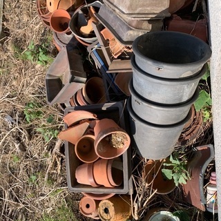 植木鉢の画像