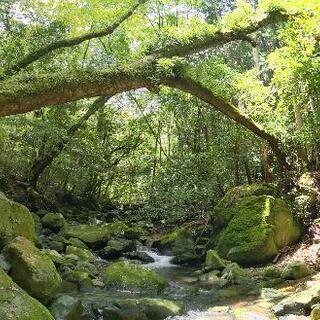 草刈り　剪定作業致します
