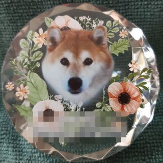 ペット訪問火葬・天国への扉ペットメモリアル千葉習志野スタッフ募集！の画像