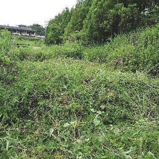 成約済【貸土地】奈良県生駒市 ４０坪　＃第二阪奈壱分ICすぐ　 #資材置き場　#整地頂いた方は敷金なし - 短期賃貸