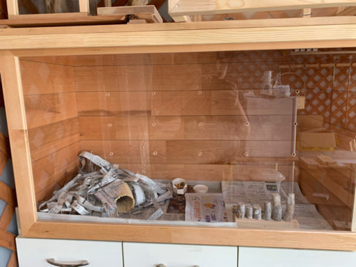 動物　小動物　古屋　犬猫　物置古屋