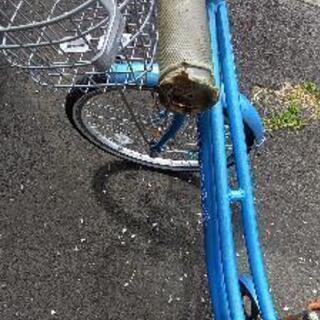7.8.～再度募集中！子供自転車　の画像
