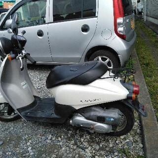 ホンダ Today ホワイト！の画像
