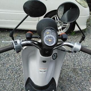 ホンダ Today シロ！の画像
