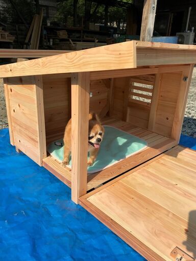 職人手作りの犬小屋　サイズオーダー承ります
