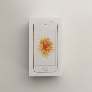 7/31(土)迄のお引き渡しをもちまして一旦受付終了  iPhone SE 付属の EarPods ②の画像