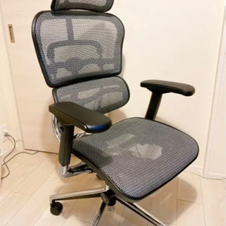 【手渡し・美品】エルゴヒューマンベーシック