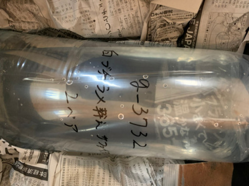 静楽庵様血統★ 白ブチラメ幹之 サファイア系 稚魚10匹