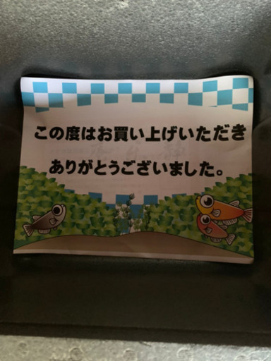 静楽庵様血統★ 白ブチラメ幹之 サファイア系 稚魚10匹