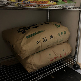 猫砂 20kg 1袋