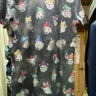 Tシャツレディースの画像