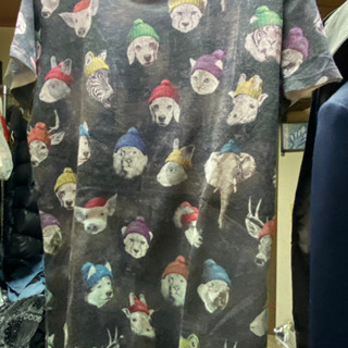 Tシャツレディース