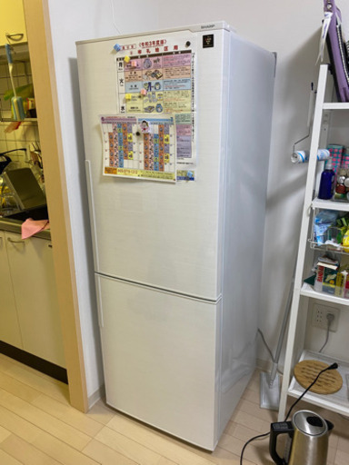 シャープ SHARP SJ-PD27C-W [冷蔵庫 （271L・右開き） 2ドア ホワイト系]