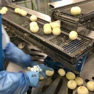 《オープニング》大手食品工場で働こう！しっかり稼げる夜勤◎車通勤...