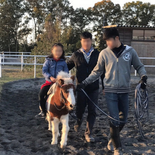 乗馬クラブで働きませんか？馬のいる厩舎の清掃作業です。近くにお住...
