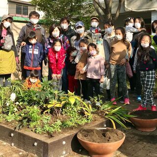 公園花壇を使いたい人，お気軽にご連絡ください♪ - その他