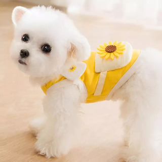 Mサイズ　犬服　新品　