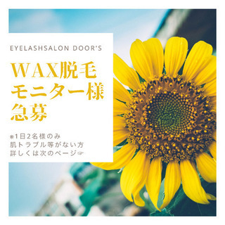 アイブロウwax無料モニター