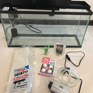 水槽セット　メダカ　ザリガニ　金魚